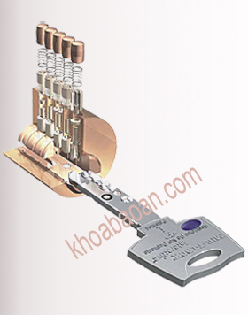 Hệ thống bi chìa Mul T Lock
